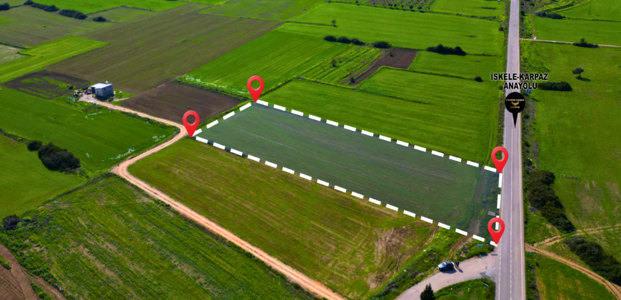 LAND FOR SALE ON ISKELE-KARPAZ MAIN ROAD (PAMUKLU), TOTAL 7,485 SQM (5 DÖNÜM 2 EVLEK 1,355 SQ FT)