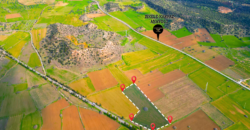 LAND FOR SALE IN ISKELE-SAZLIKÖY, TOTAL 12,205 SQM (9 DÖNÜM 1,750 SQ FT) WITH PROJECTS FOR 12 SHOPS AND 210 APARTMENTS