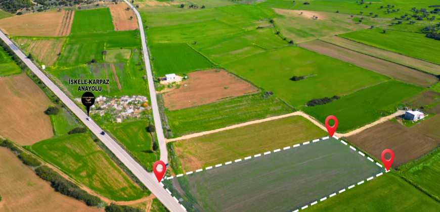 LAND FOR SALE ON ISKELE-KARPAZ MAIN ROAD (PAMUKLU), TOTAL 7,485 SQM (5 DÖNÜM 2 EVLEK 1,355 SQ FT)