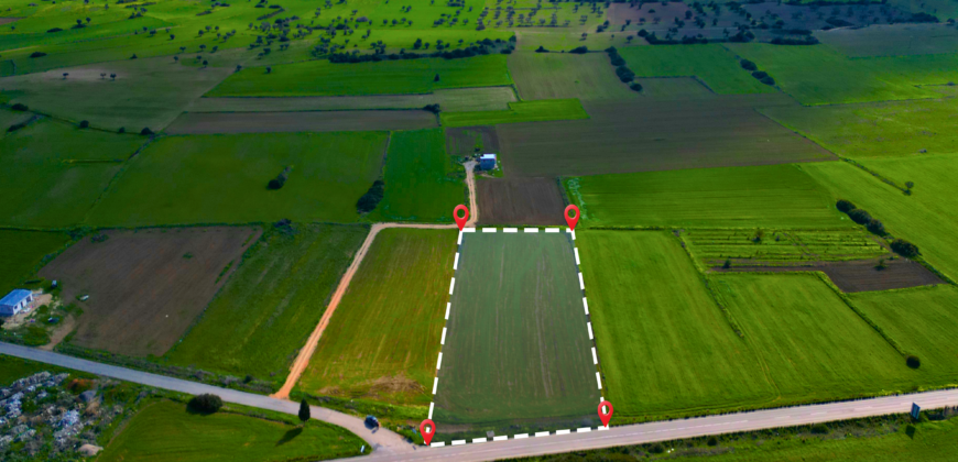 LAND FOR SALE ON ISKELE-KARPAZ MAIN ROAD (PAMUKLU), TOTAL 7,485 SQM (5 DÖNÜM 2 EVLEK 1,355 SQ FT)