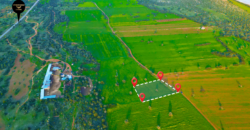 İSKELE-KUMYALI’DA TOPLAM 3.696 METRE KARE (2 DÖNÜM 3 EVLEK) DENİZ MANZARALI SATILIK ARAZİ
