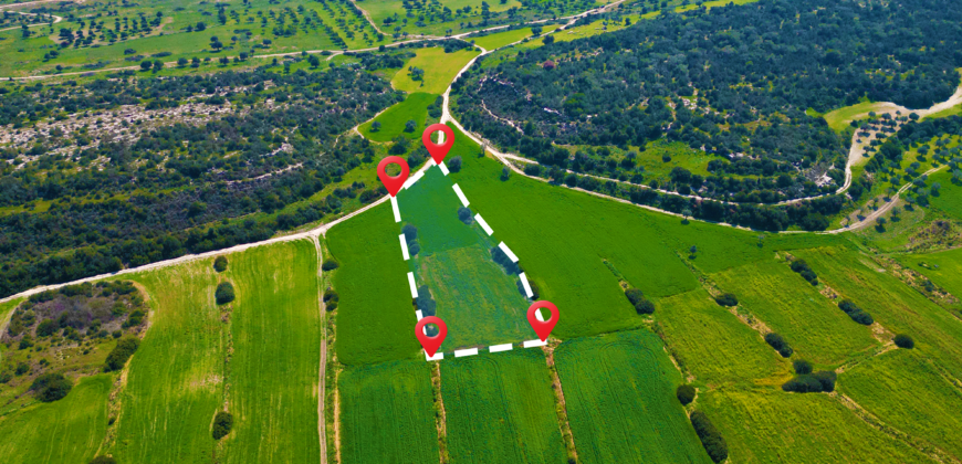 LAND FOR SALE IN KUMYALI – 5,649 SQM (4 DÖNÜM 1 EVLEK)