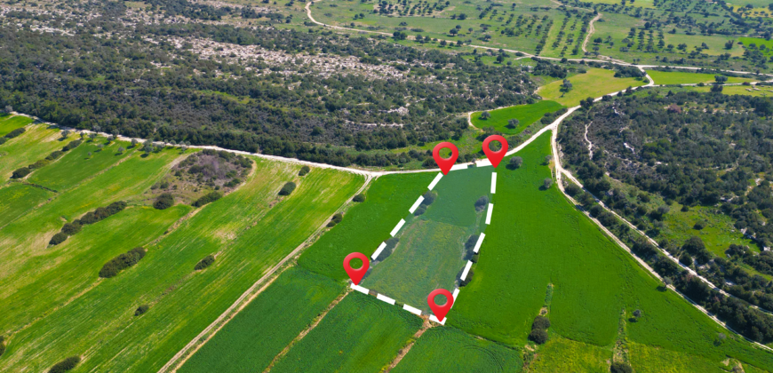 LAND FOR SALE IN KUMYALI – 5,649 SQM (4 DÖNÜM 1 EVLEK)