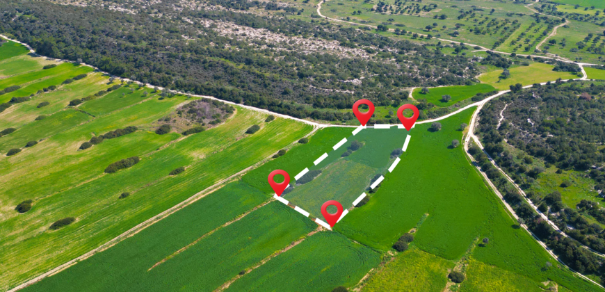 LAND FOR SALE IN KUMYALI – 5,649 SQM (4 DÖNÜM 1 EVLEK)