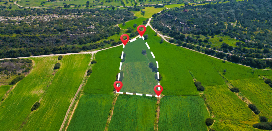 LAND FOR SALE IN KUMYALI – 5,649 SQM (4 DÖNÜM 1 EVLEK)