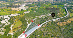 1,876 SQM ROADFRONT LAND FOR SALE IN İSKELE-BÜYÜKKONUK (1 DÖNÜM 1 EVLEK 2,200 SQFT)